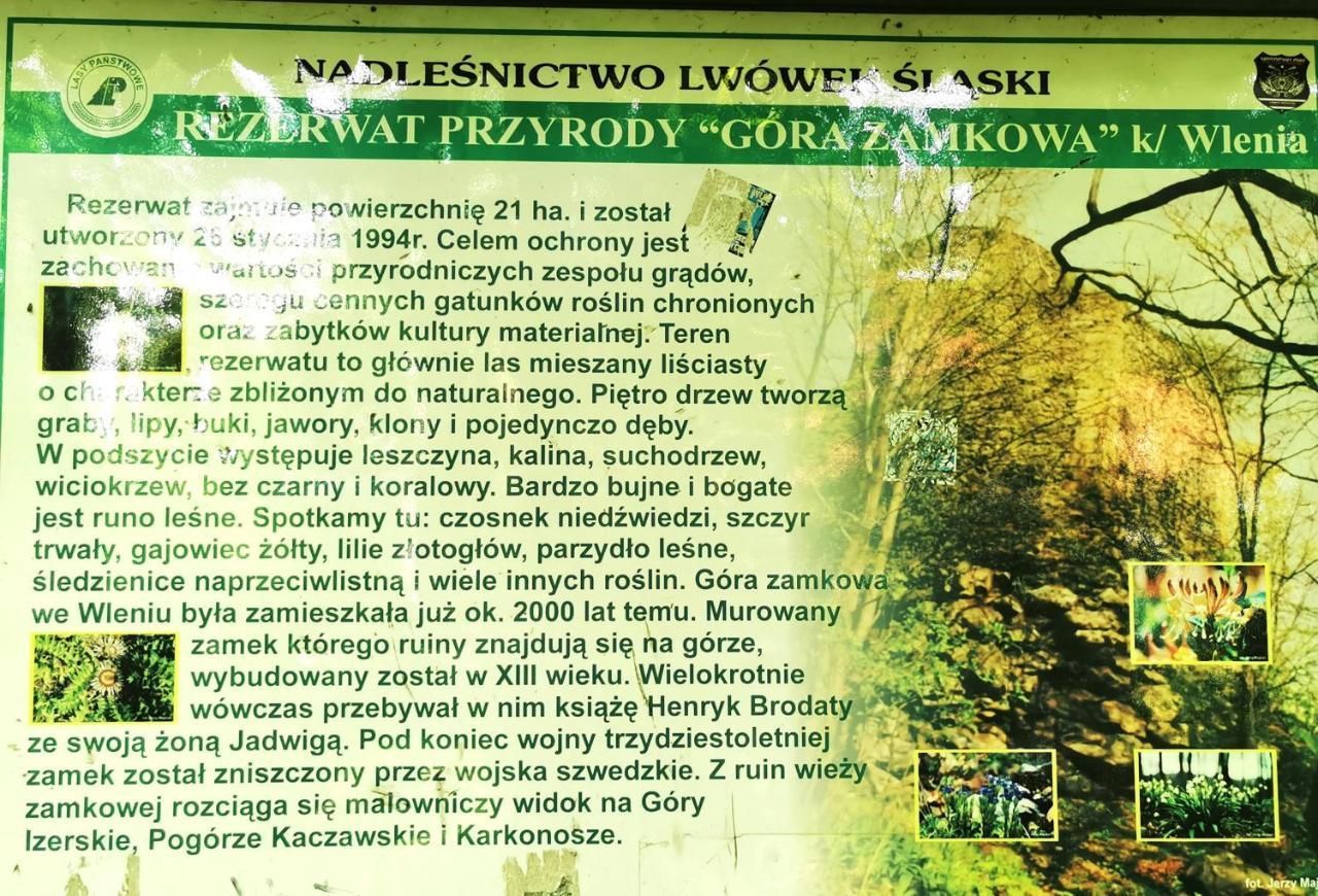 Dom Wakacyjny Chillout Rock Apartment Lwowek Slaski Exterior photo